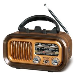 YUEGAN FM-AM. YG-7071BTS